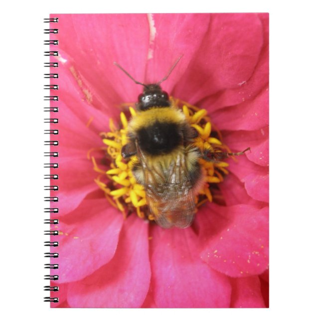 HummelNotebook Notizblock (Vorderseite)
