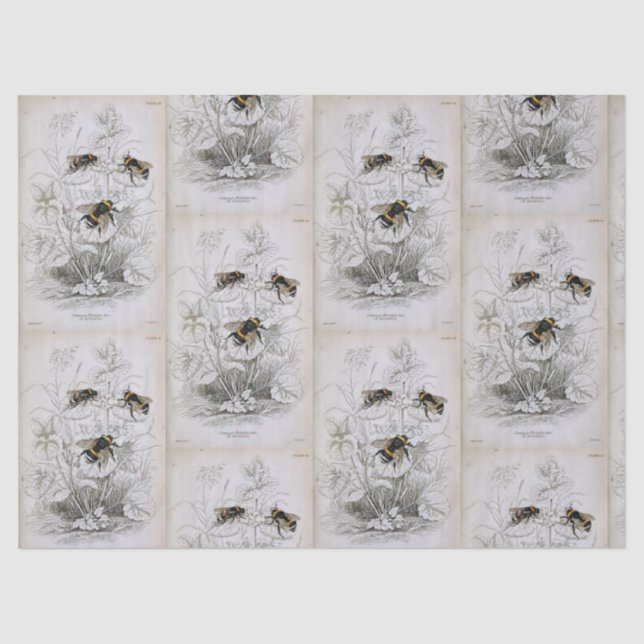 Hummelpapier Seidenpapier (Vorderseite)