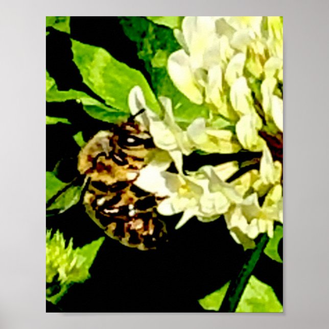 Hummelplakat Poster (Vorne)