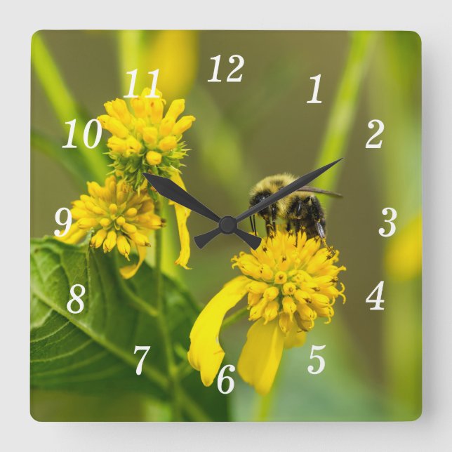 Hummelsäulenuhr Quadratische Wanduhr (Vorderseite)
