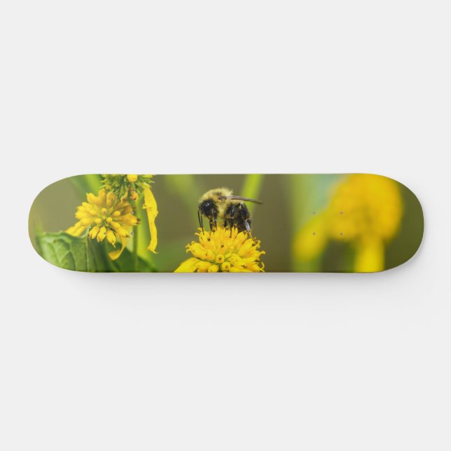 Hummelskateboard Skateboard (Horizontal)