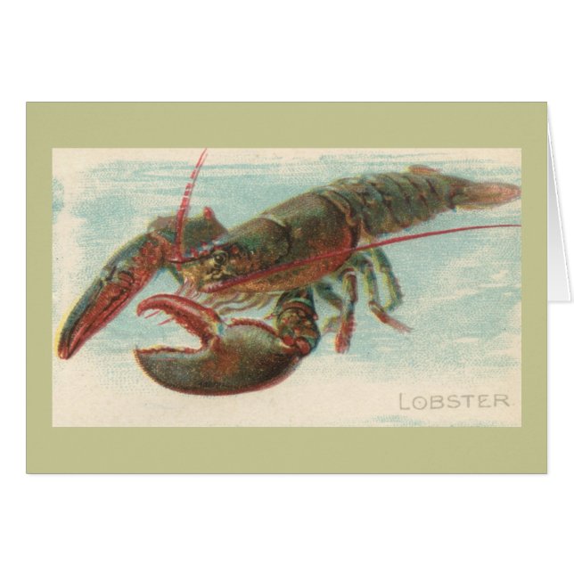 Hummer (Vorderseite (Horizontal))