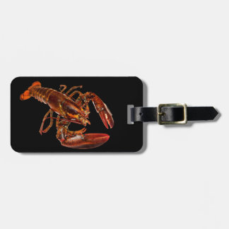 Hummer Gepäckanhänger