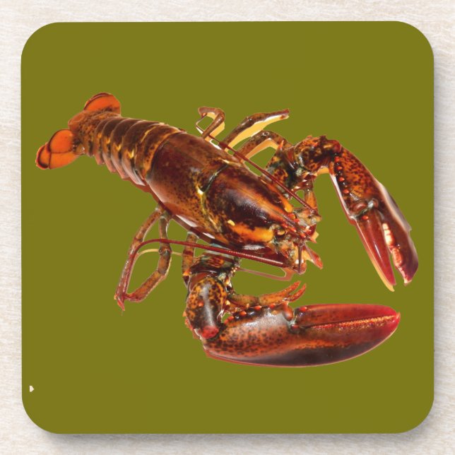Hummer Getränkeuntersetzer (Vorderseite)