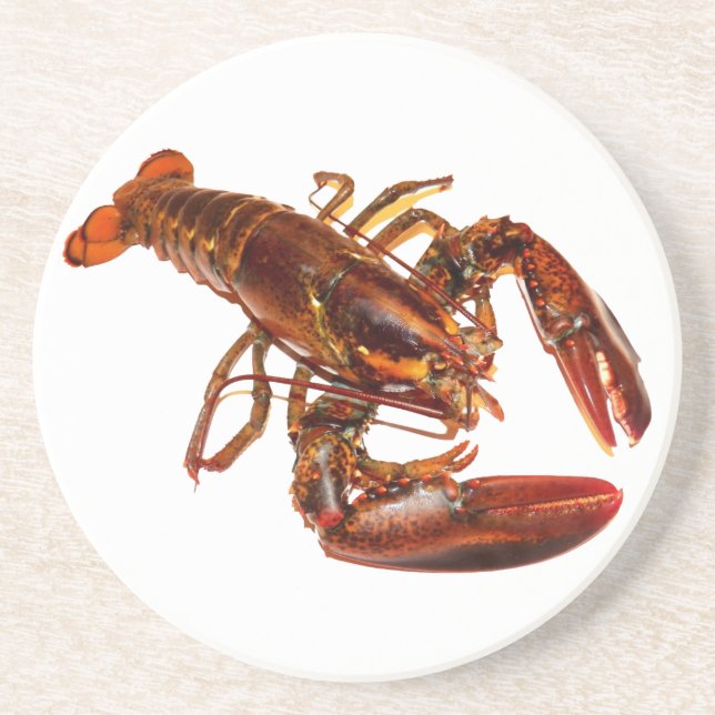 Hummer Getränkeuntersetzer (Vorne)