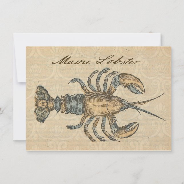 Hummer-Illustration Antique Maine Seafood Einladung (Vorderseite)