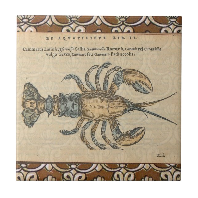 Hummer-Illustration Antique Maine Seafood Fliese (Vorderseite)