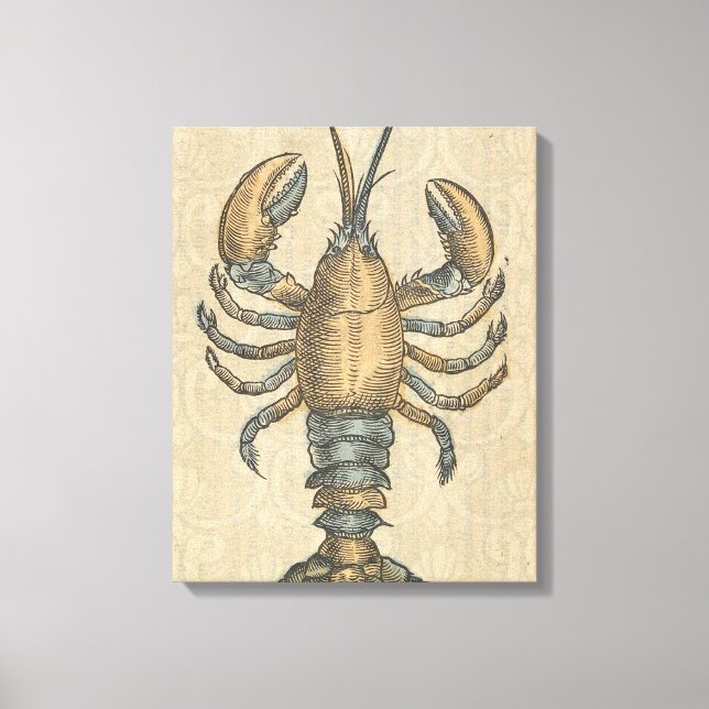Hummer-Illustration Antique Maine Seafood Leinwanddruck (Vorderseite)
