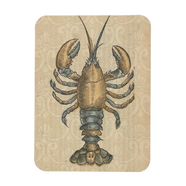 Hummer-Illustration Antique Maine Seafood Magnet (Vertikal)