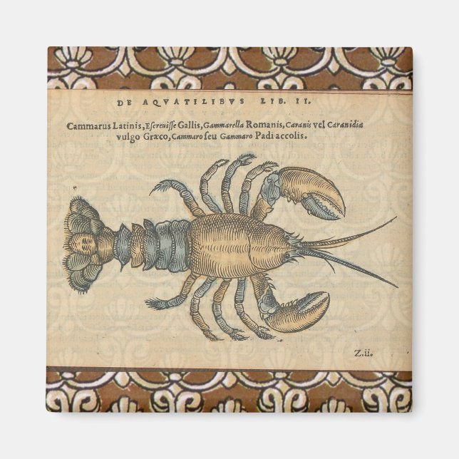 Hummer-Illustration Antique Maine Seafood Magnet (Vorne)