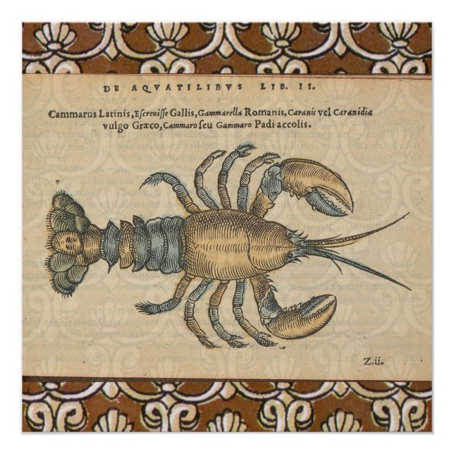 Hummer-Illustration Antique Maine Seafood Poster (Vorderseite)