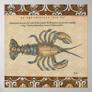 Hummer-Illustration Antique Maine Seafood Poster
