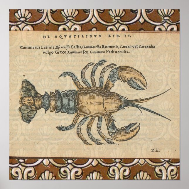 Hummer-Illustration Antique Maine Seafood Poster (Vorne)