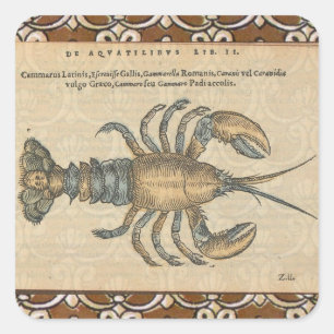 Hummer-Illustration Antique Maine Seafood Quadratischer Aufkleber