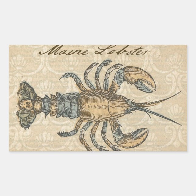 Hummer-Illustration Antique Maine Seafood Rechteckiger Aufkleber (Vorderseite)