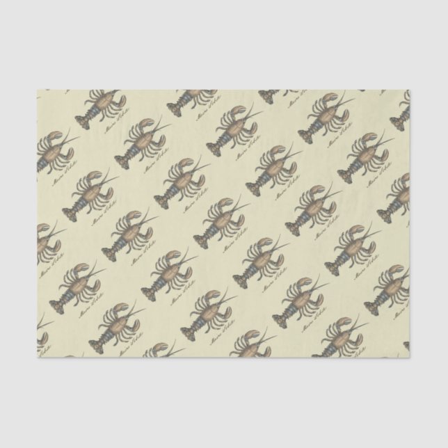 Hummer-Illustration Antique Maine Seafood Seidenpapier (Vorderseite)