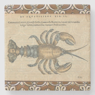 Hummer-Illustration Antique Maine Seafood Steinuntersetzer