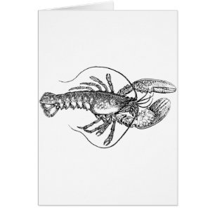 Hummer-Illustration im Vintage-Stil