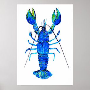 Hummer in blauen Farben Poster