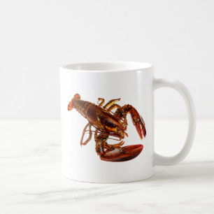 Hummer Kaffeetasse