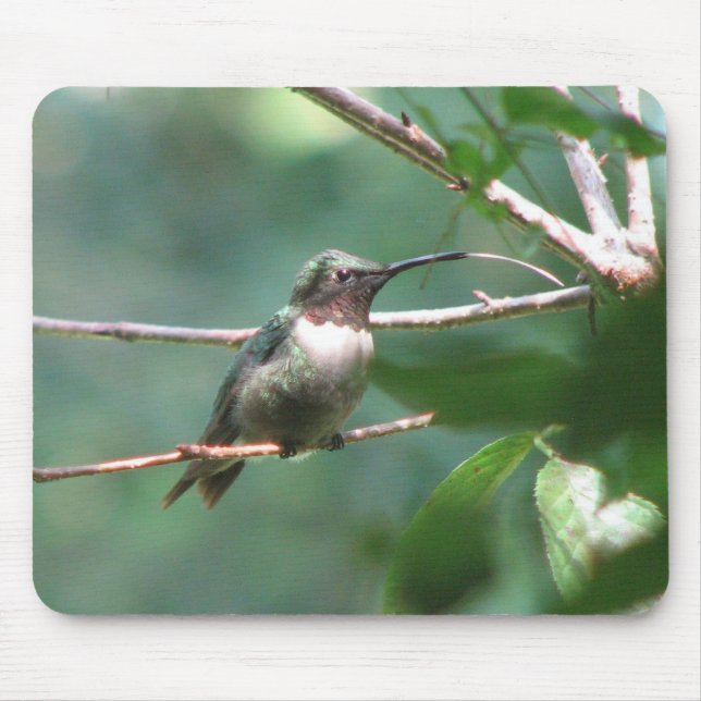 Hummer-Kuss Mousepad (Vorne)