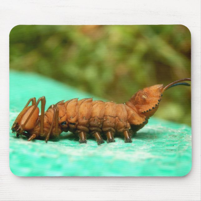 Hummer Moth Raupe Mouse Mat Mousepad (Vorne)