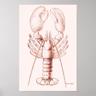 Hummer Poster ~ American Hummer