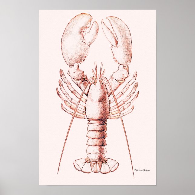 Hummer Poster ~ American Hummer (Vorne)