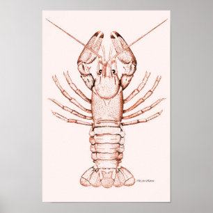 Hummer Poster ~ Fluss Cray Fish