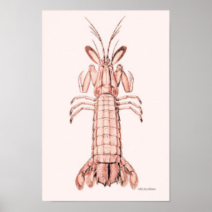 Hummer Poster ~ Rock Hummer