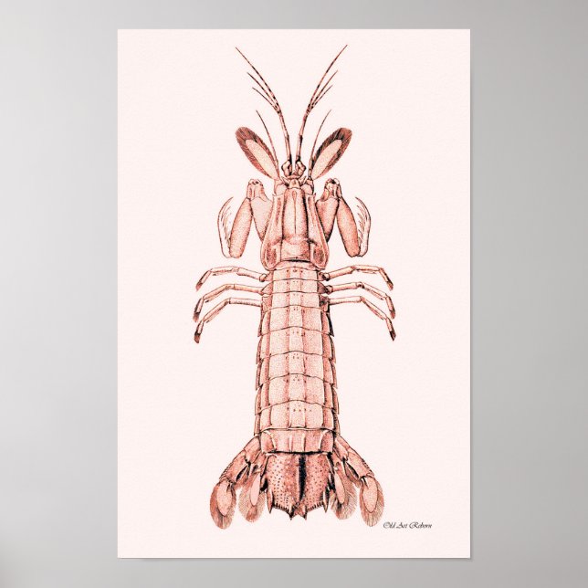 Hummer Poster ~ Rock Hummer (Vorne)