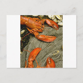 Hummer Postkarte