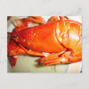Hummer Postkarte