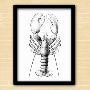 Hummer schwarz-weiße Vintage-Illustration Poster