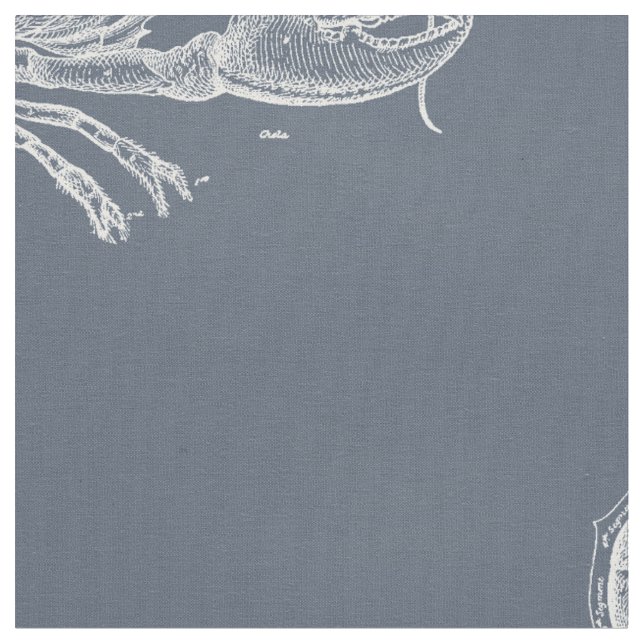 Hummer Stoff (Nahaufnahme)