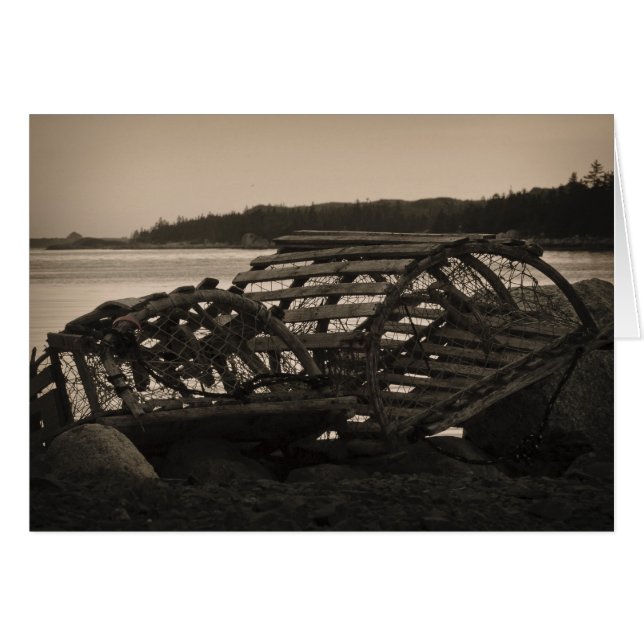 Hummerfallen Sepia (Vorderseite (Horizontal))
