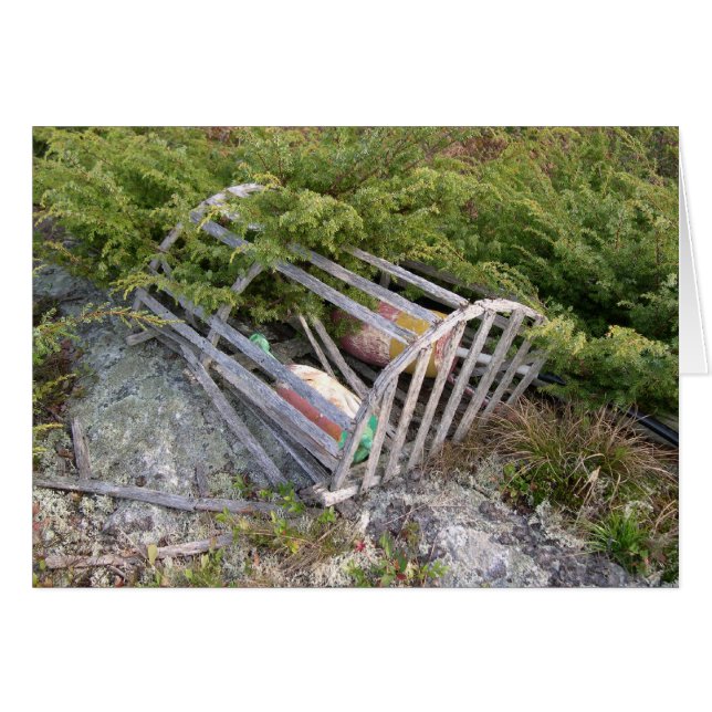 Hummertopf und Knollen, Maine, USA (Vorderseite (Horizontal))