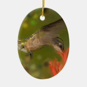 Hummertrinken Keramik Ornament