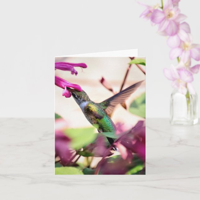 Humming Along Note Card Karte (Orchidee)