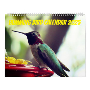 Humming Bird 2025 LargeCalendar, White Kalender
