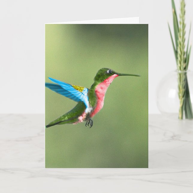 Humming Bird Card für jeden Anlaß. Karte (Vorderseite)
