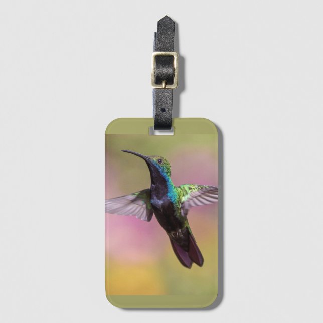 Humming Bird Gepäckanhänger (Vorderseite Vertikal)