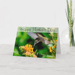 Humming Bird Happy Mother Day Card Karte