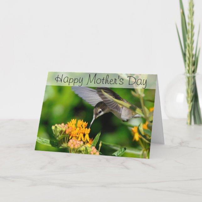 Humming Bird Happy Mother Day Card Karte (Vorderseite)