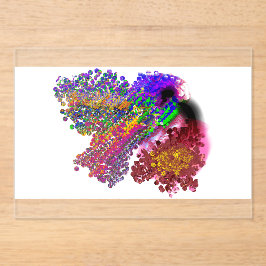 Humming Bird love Acryleinladungen