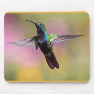 Humming Bird Mousepad