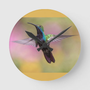 Humming Bird Runde Wanduhr