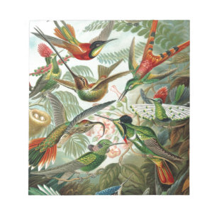 Humming Birds Paradise Art Notizblock
