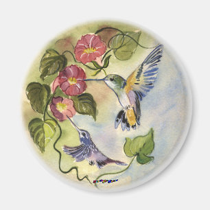 Humming Vögel Magnet