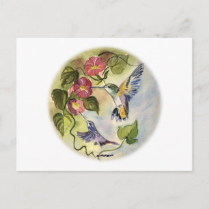 Humming Vögel Postkarte